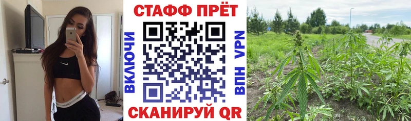Виды наркоты Ярославль Галлюциногенные грибы  Канабис  Меф мяу мяу  omg зеркало  Гашиш 