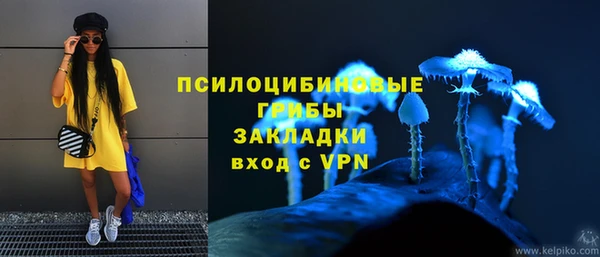 спиды Бугульма